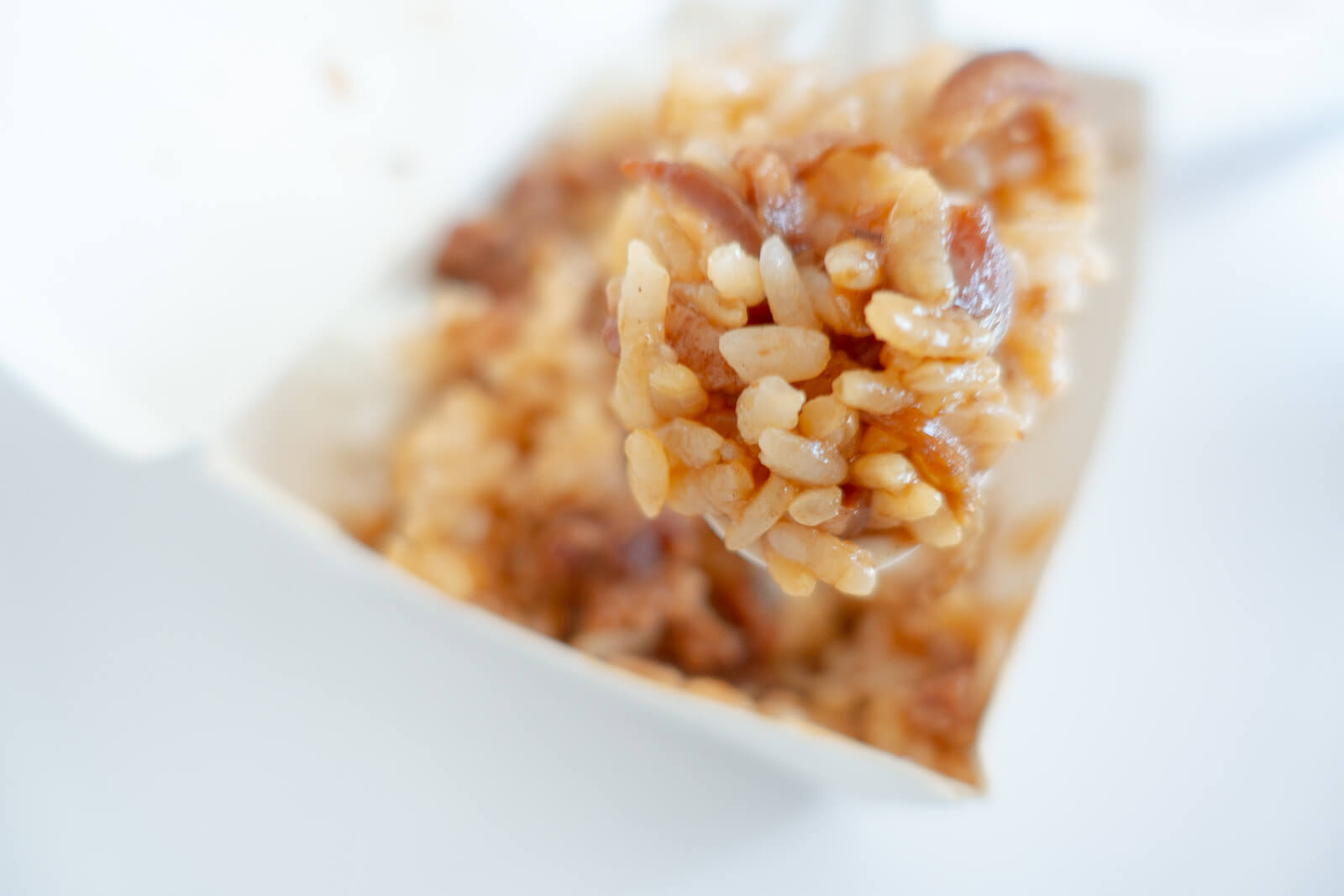 朱家嘉義雞肉飯の魯肉飯